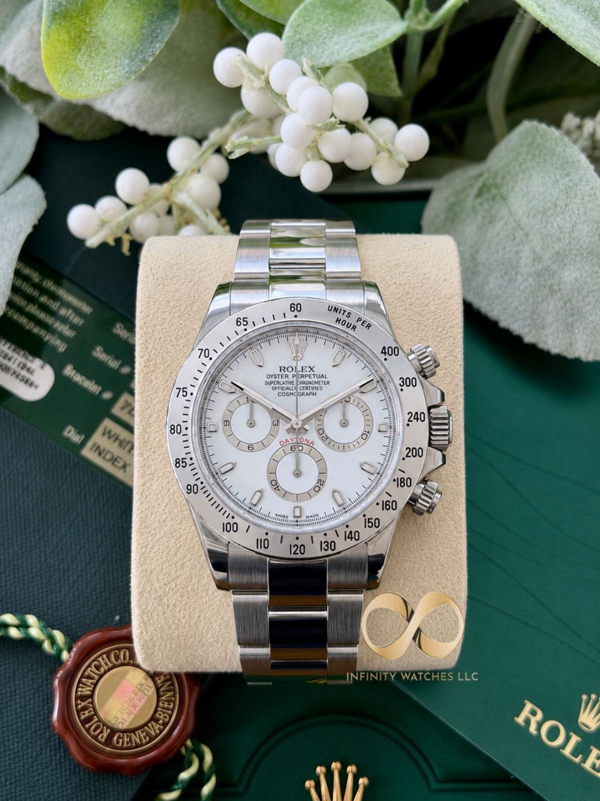 Main Watch Image